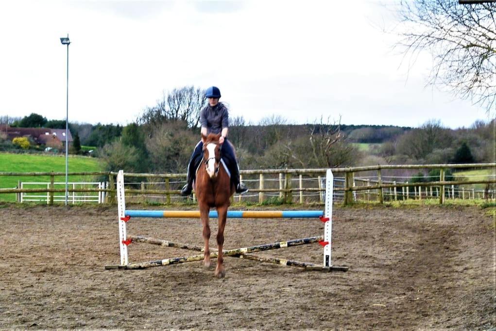 Hillfields Farm Barn - A Rural Equestrian Escape Apartman Coventry Kültér fotó